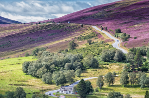 Benefits of Owning a Campervan | Mountain road, with coloured foliage. 