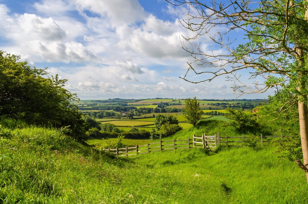 summer road trip | green fields with a blue sky and wooden fence