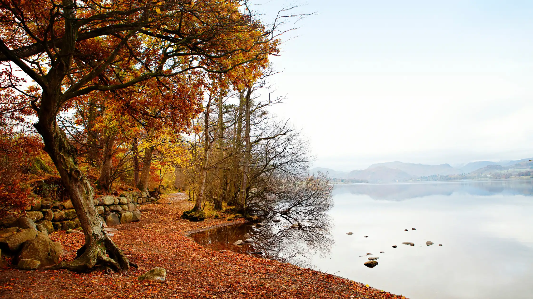 Beautiful Short Autumn Breaks in 2024 with Free Spirit Campervans, Peak District