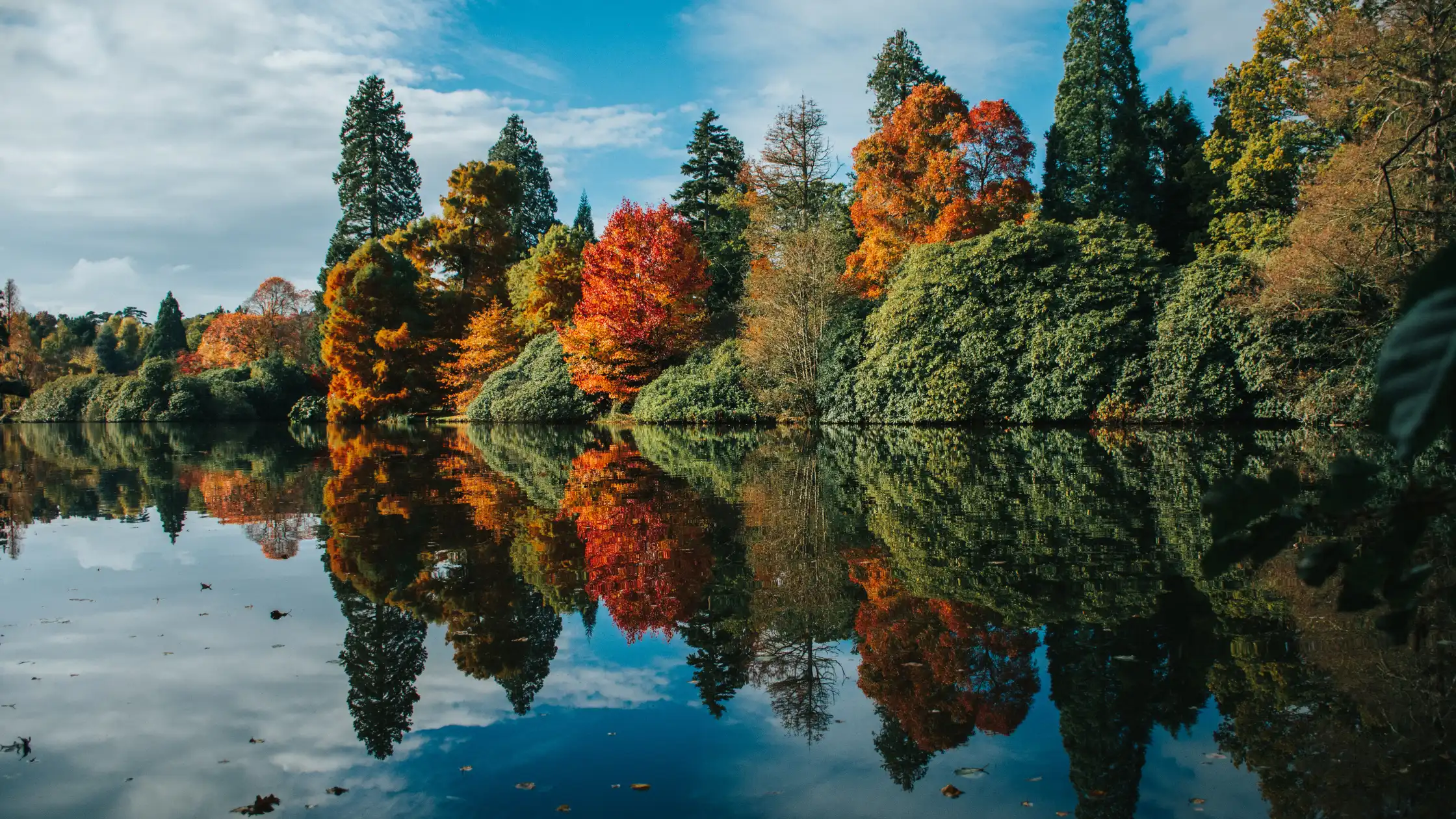 Free Spirit Campervans Dreamy days out amongst the beautiful Autumn colours in 2024 at Sheffield Park, East Sussex