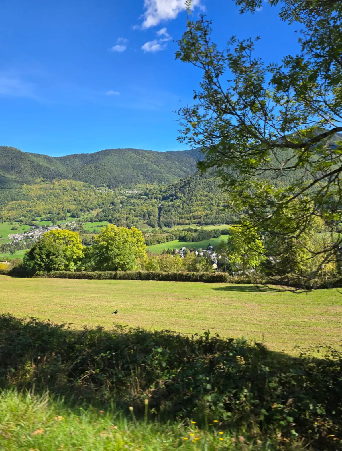 A Mercedes Campervan Adventure Through the Pyrenees: France to Spain (Part 2) - Ordesa National Park