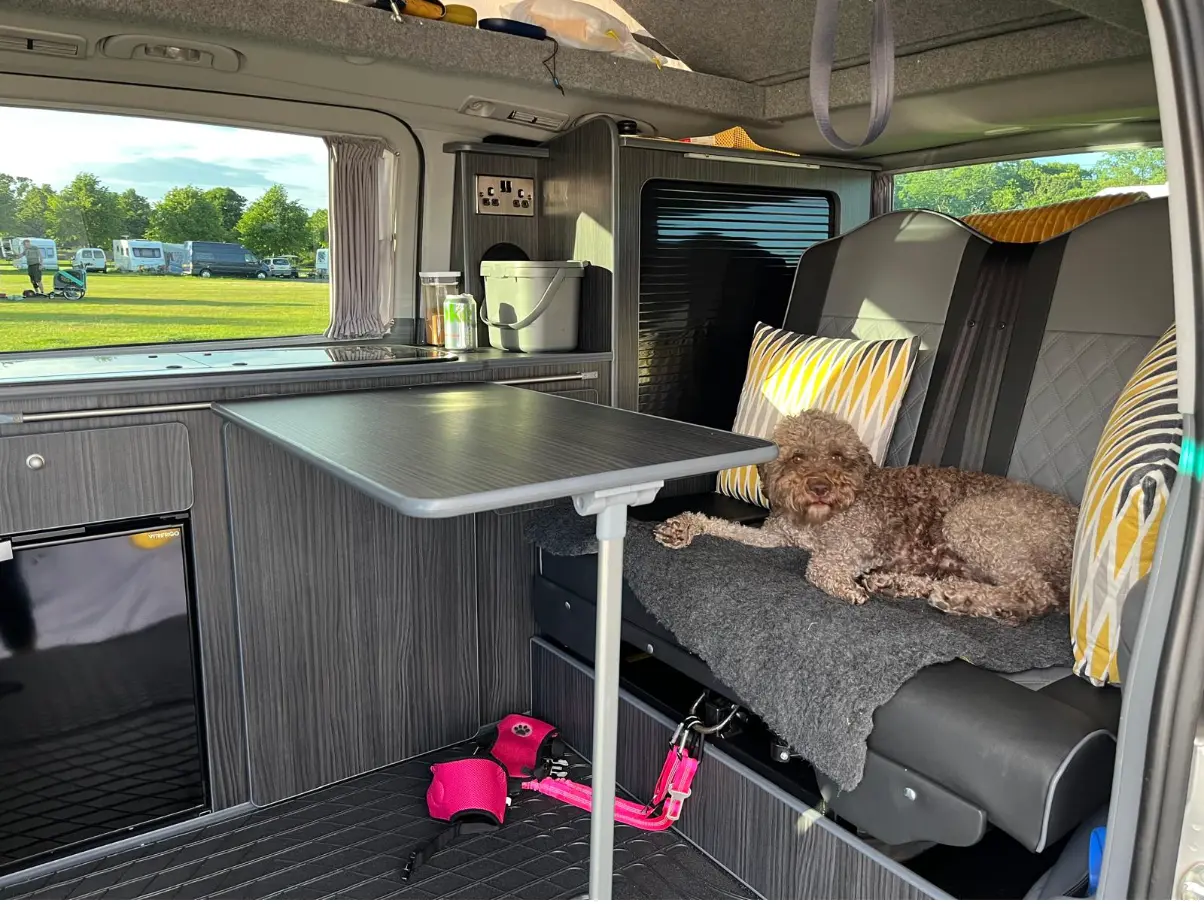 Free Spirit Campervan Owner, travelling with dogs