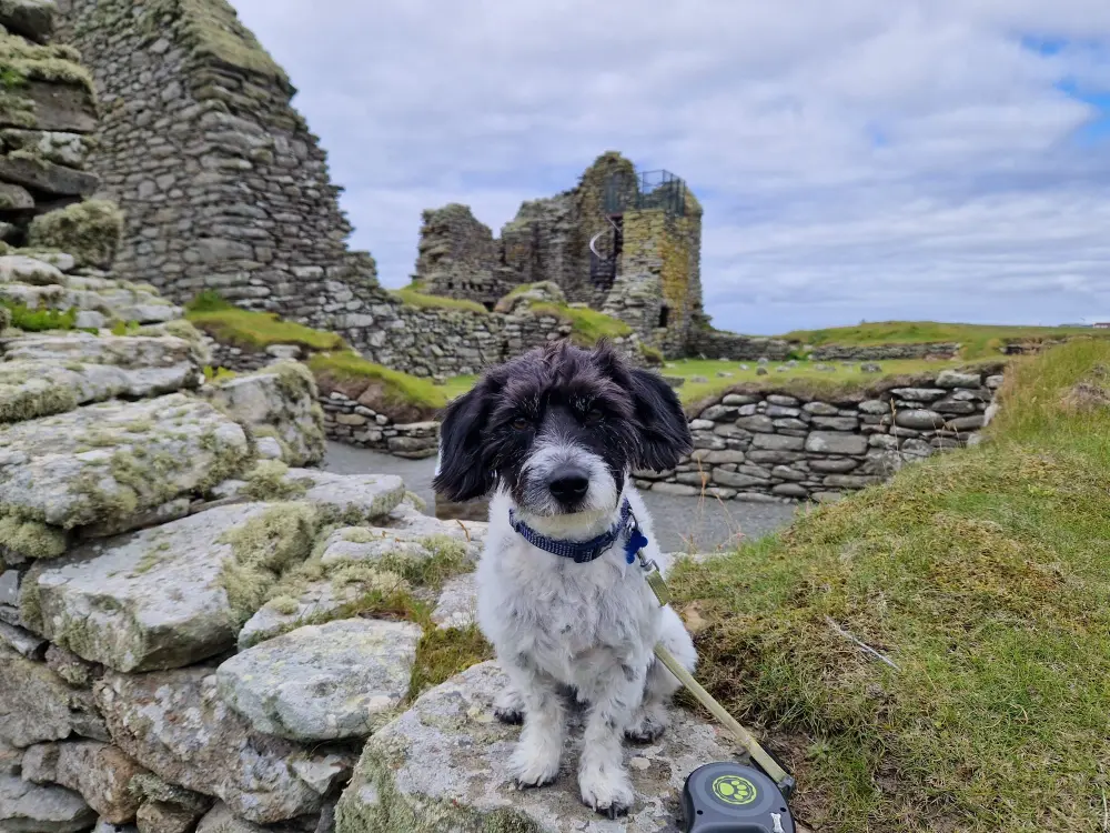 Big Campervan Adventure
