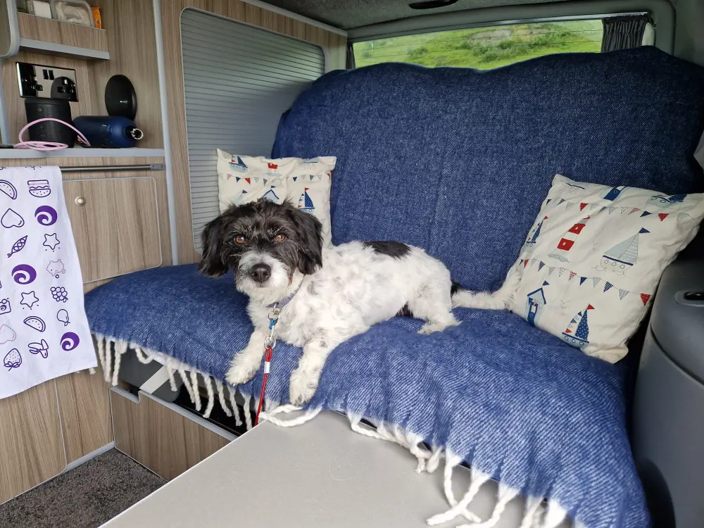 Big Campervan Adventure