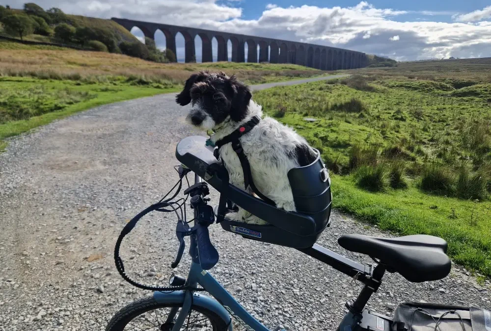 The Joy of Spontaneous Journeys: Exploring Ribblehead and the Yorkshire Dales in Vino the Campervan