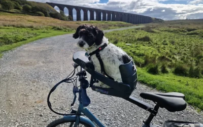 The Joy of Spontaneous Journeys: Exploring Ribblehead and the Yorkshire Dales in Vino the Campervan