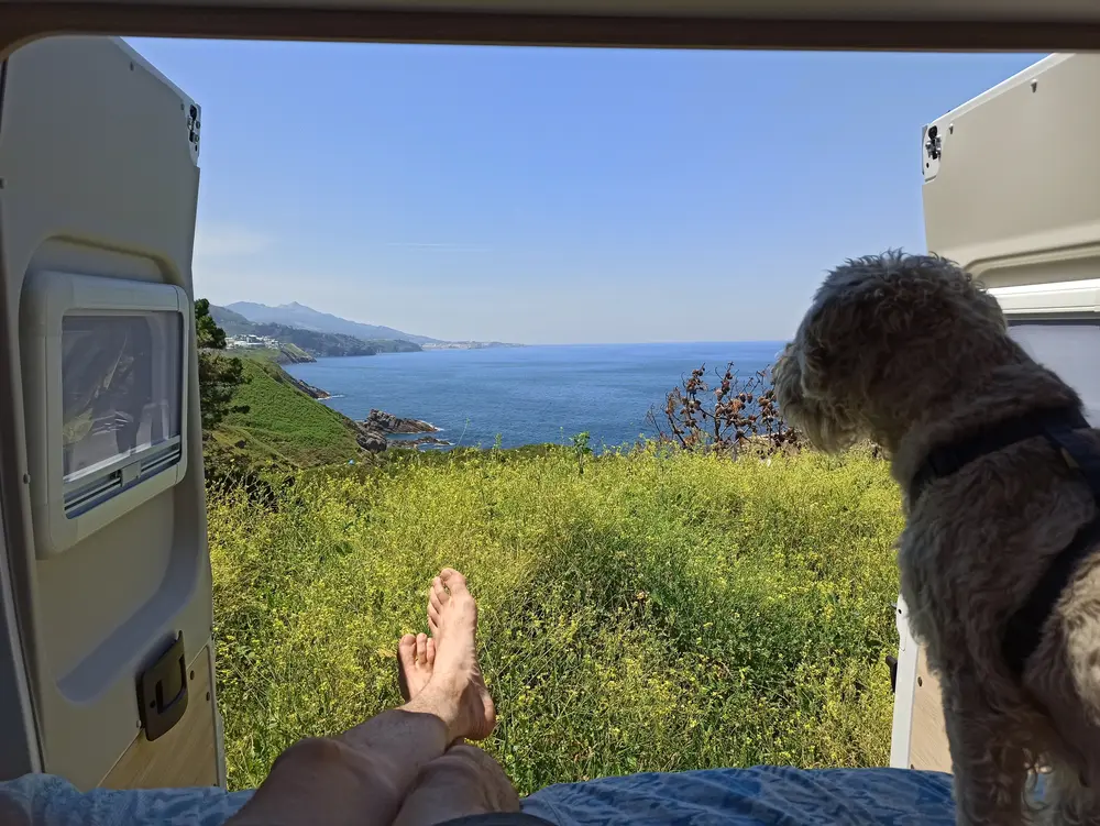back of a camperoon open with persons feet and dog looking out